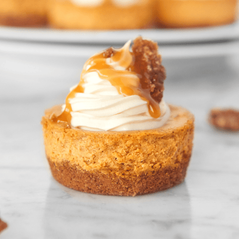 Mini Pumpkin Cheesecakes