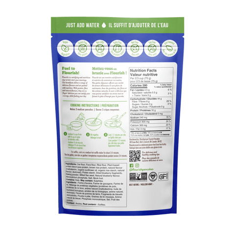 Blueberry Plant-Based Protein Pancake Mix Whey-based High Protein Flourish 