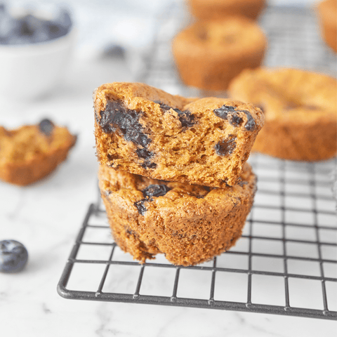 Protein Blueberry Muffins (Plant-Based & GF)