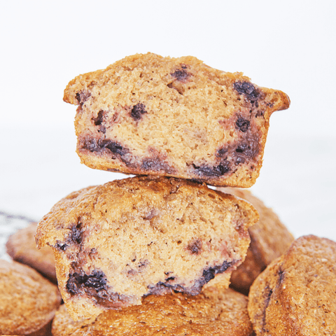 Blueberry Vanilla Protein Muffins