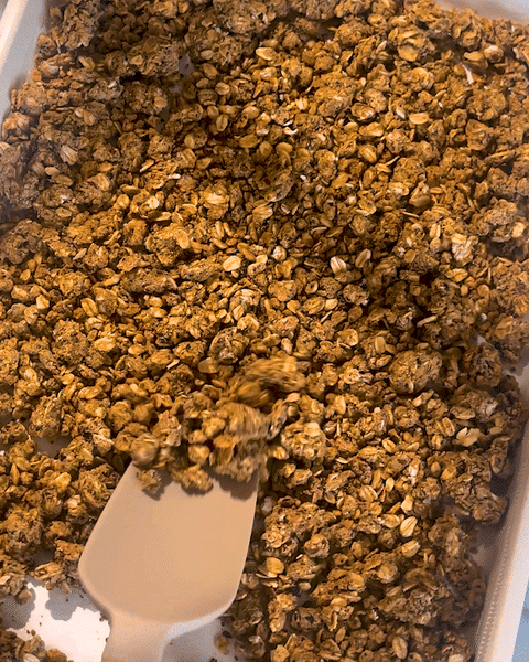 High Fibre Granola