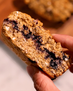 Blueberry Protein Bars