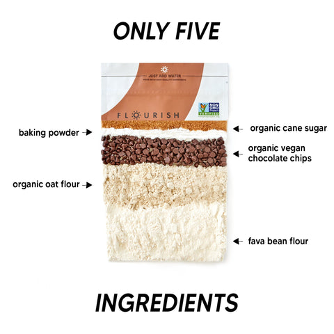 Chocolate Chip Plant-Based Protein Pancake Mix Flourish 