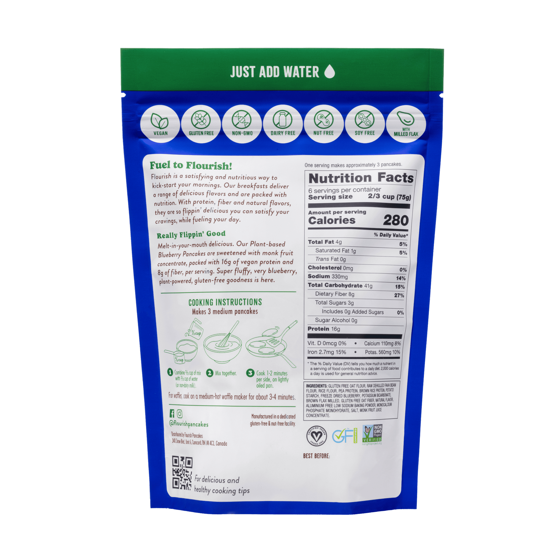 Blueberry Plant-Based Protein Pancake Mix (16oz) Plant-Based High Protein Flourish 