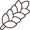 High Fiber